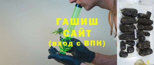 гашик Ладушкин