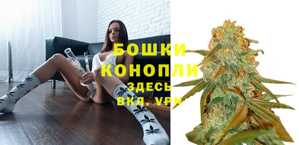гашик Ладушкин