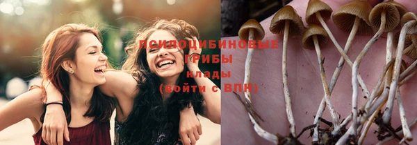 гашик Ладушкин
