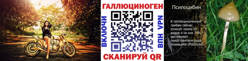 OMG как зайти  Уржум  Псилоцибиновые грибы MAGIC MUSHROOMS 